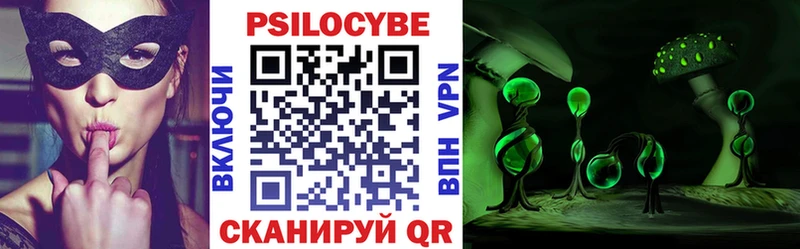 даркнет состав MEGA Ивангород Псилоцибиновые грибы Cubensis